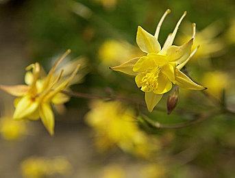 网传《星球大战：日蚀》已开发18个月 仍无可玩版本